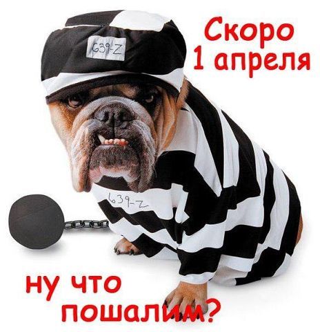 Василиса Лохова