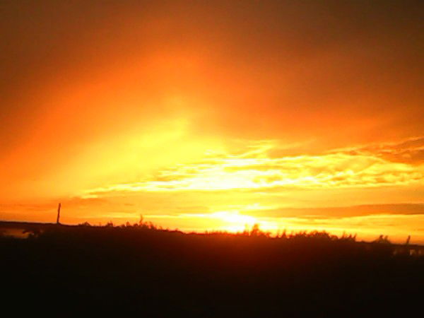 Леонид Цапаров