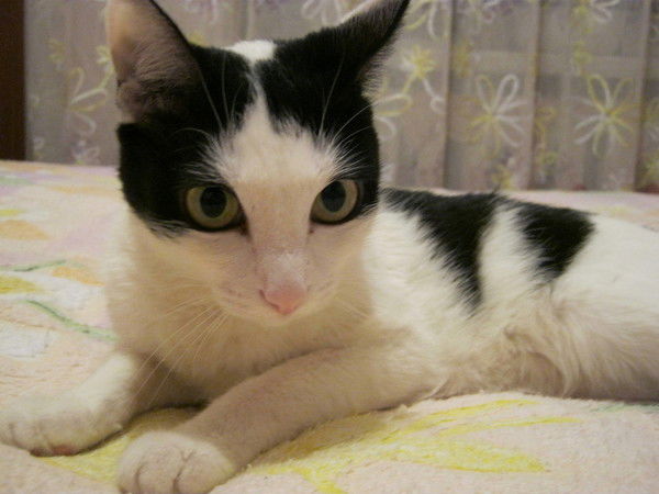 Дарья Баранова