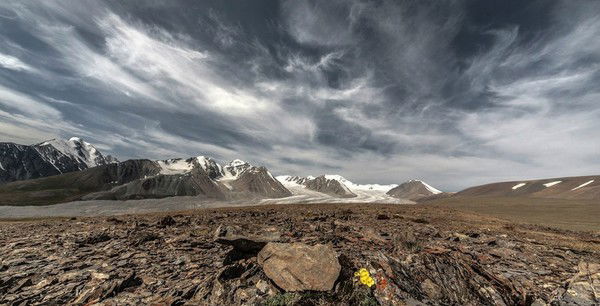 Замир Кочкорбаев