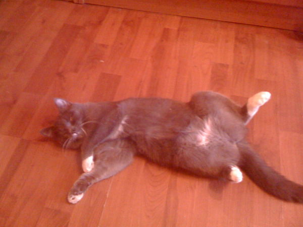 Наталья Иванова