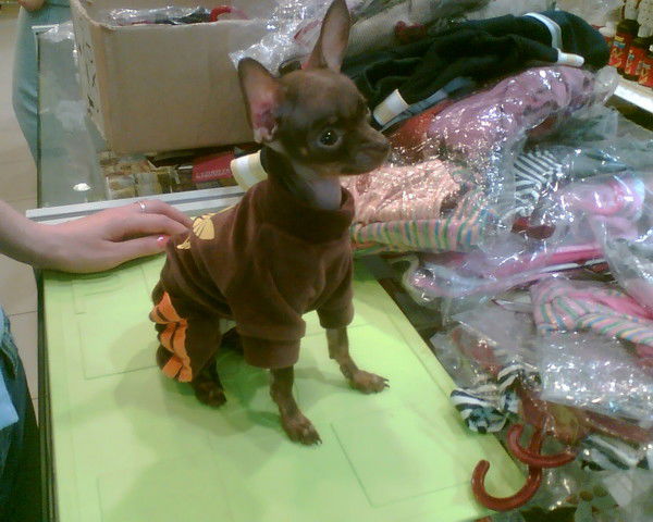 Наталья Пиниевская