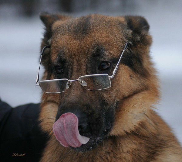 Владислав Чупрунов