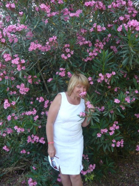 Елена Соколова