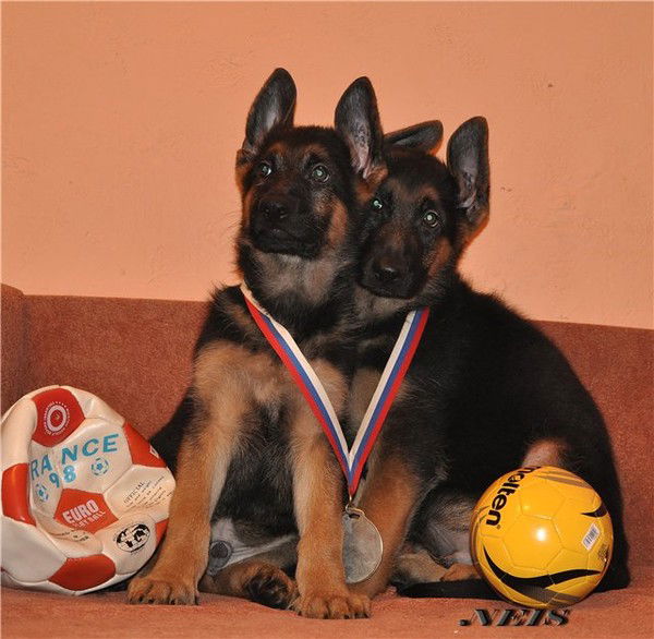 Ергали Сулейменов