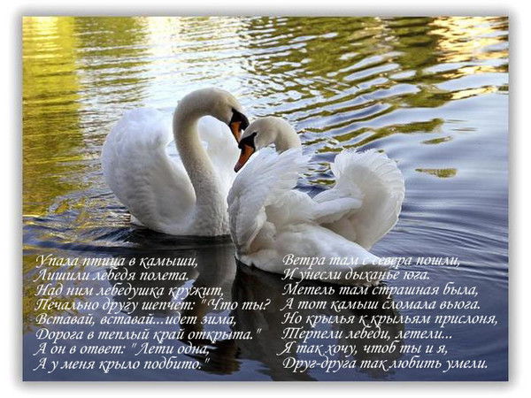 Гульнара Даниярова