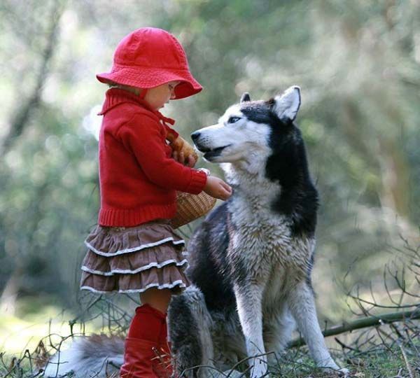 Елена Степанова