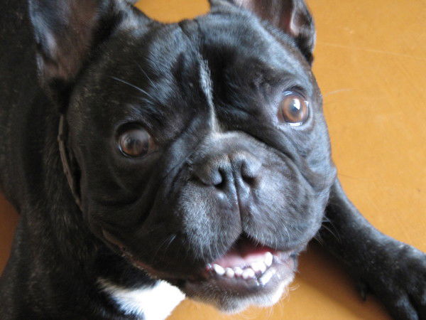 Андрей Дорофеев