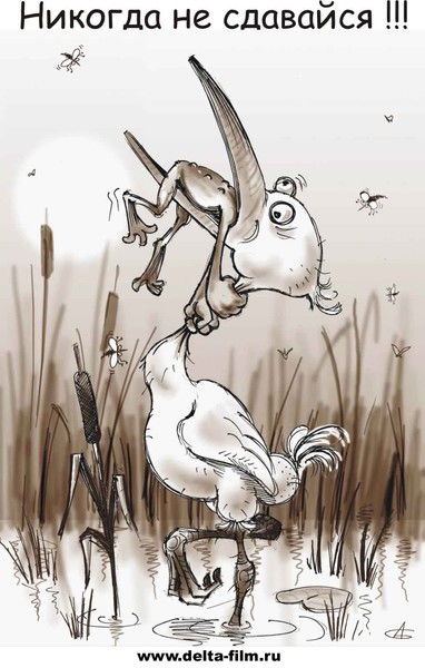 Айбек Султанов