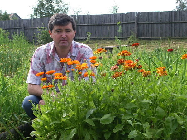 Дмитрий Журавлёв