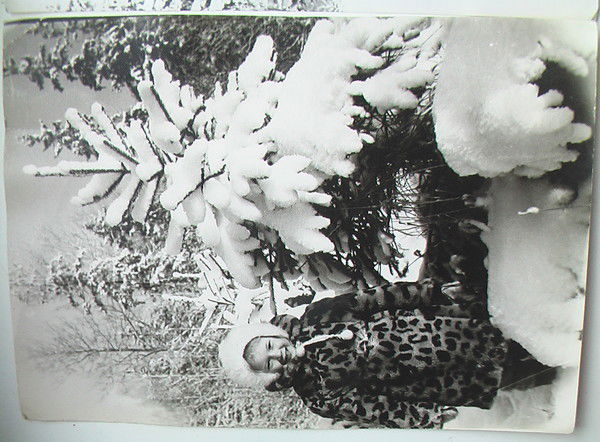 Анатолий Петрович Бронишевский