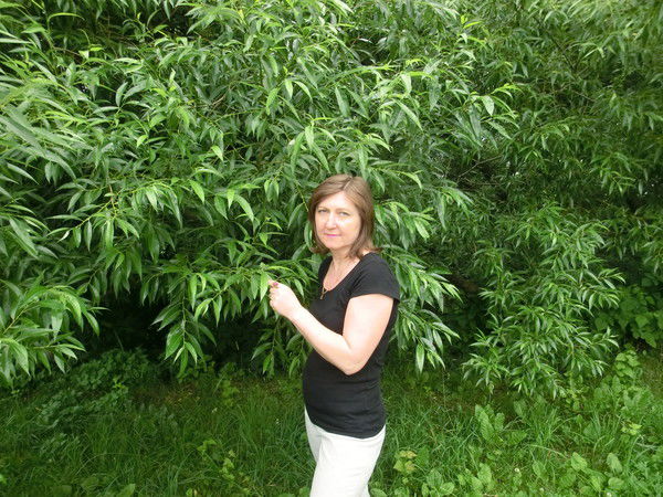 Валентина Васильева