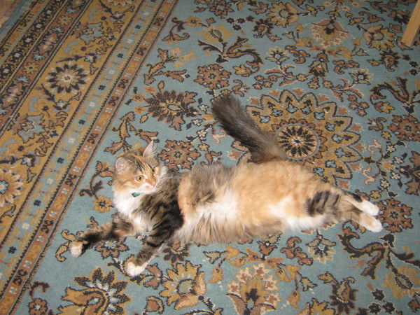 Елена Пономарёва