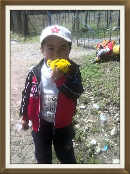 Жылдыз Алибаева