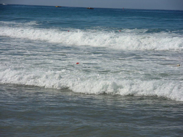 Лилия Никитенко