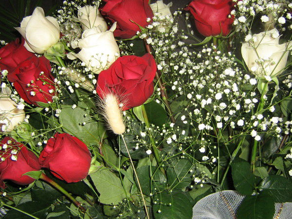 Разифа Яхина