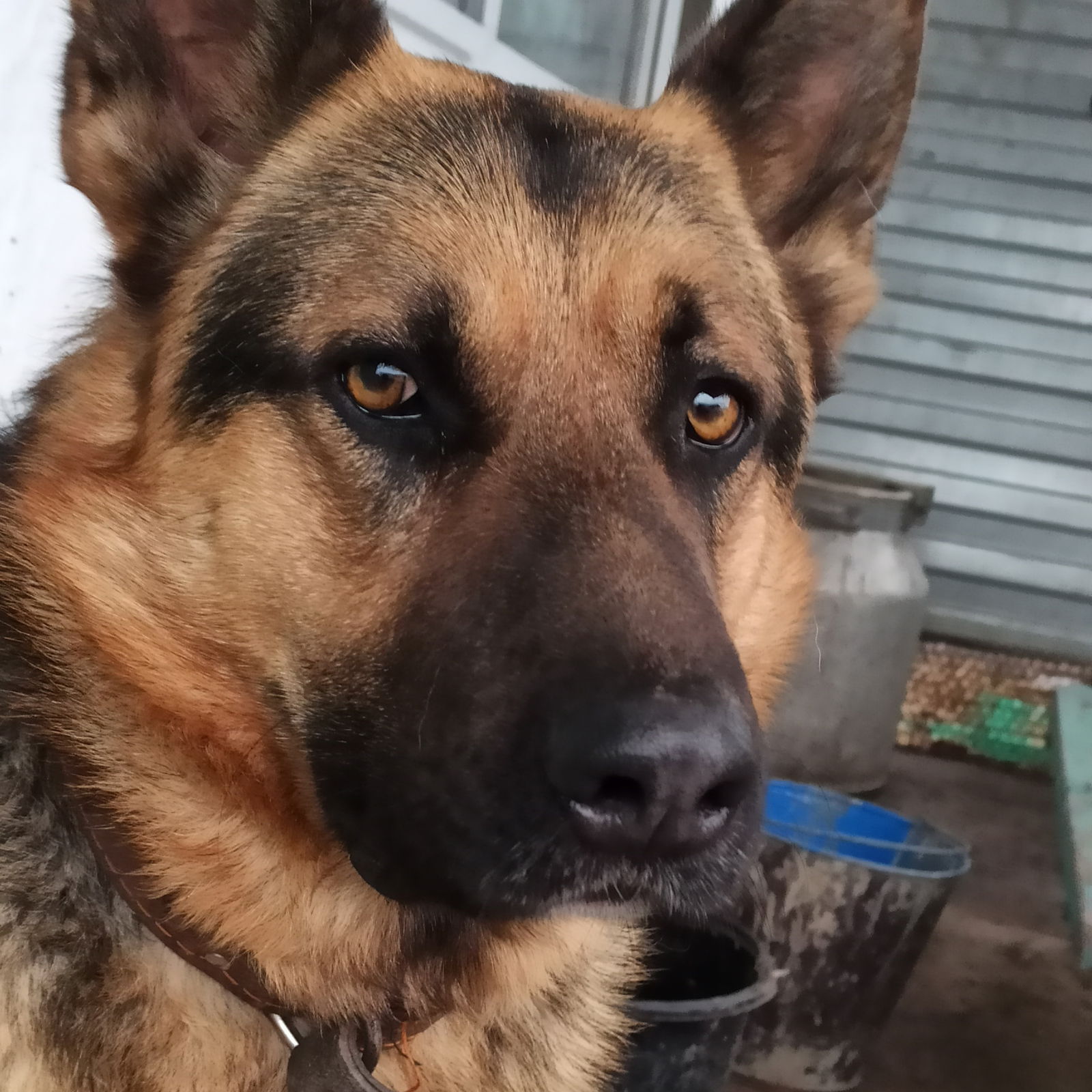 Валерий Косьмин