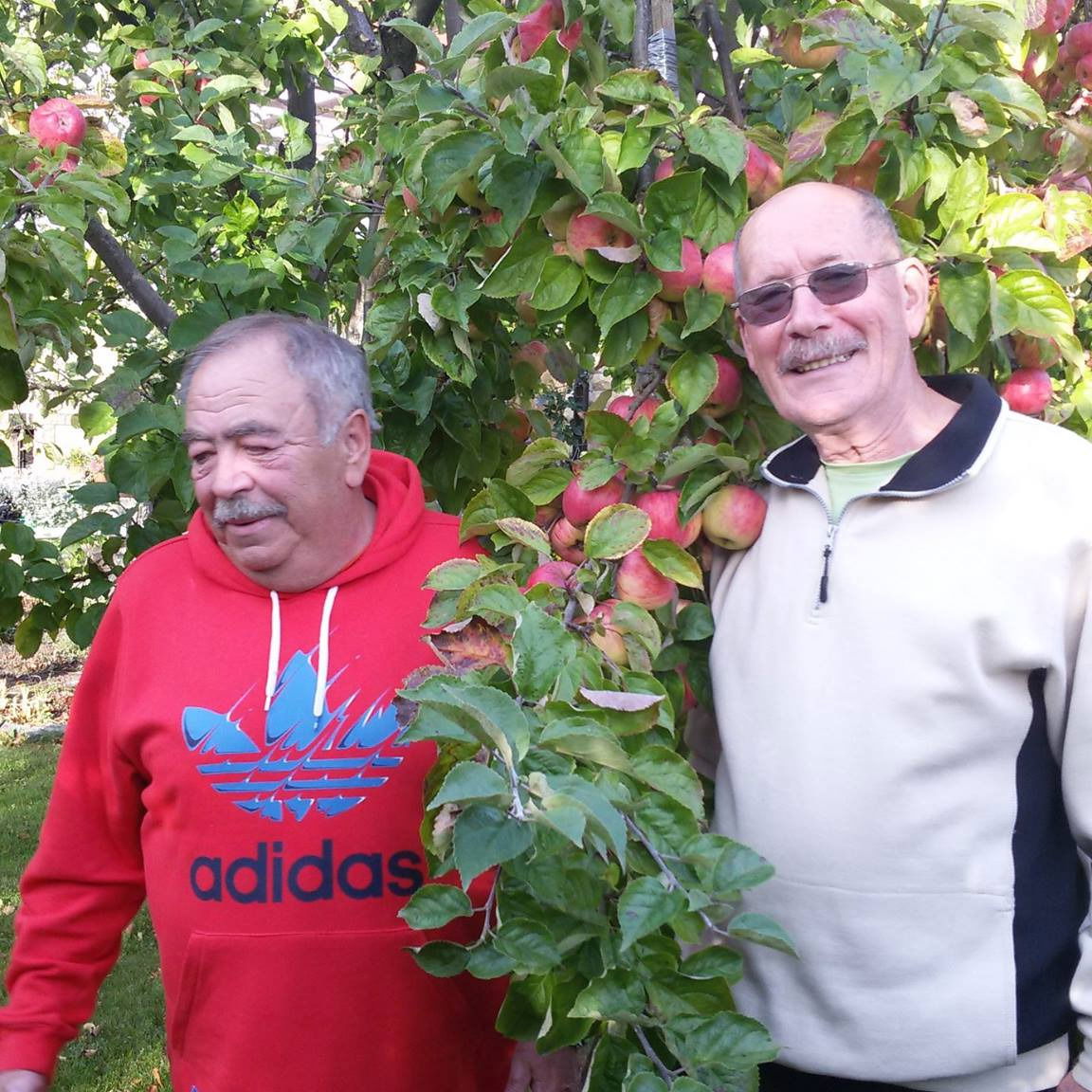 Валерий Френкель