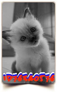 Владислав Павлов