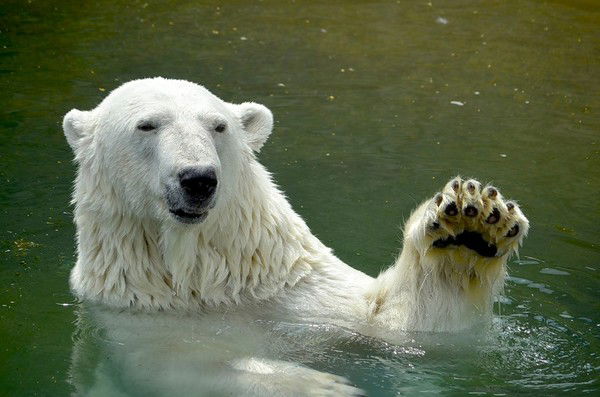 Дмитрий Чернов