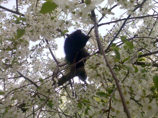 Татьяна Belousova