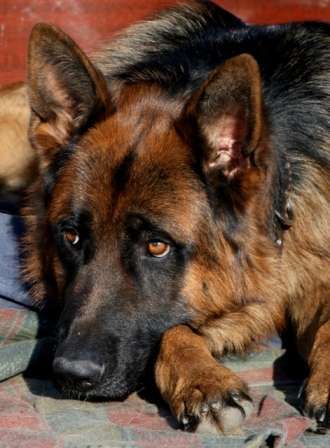 Кира Хачатурян