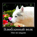 *** Kavkazec***