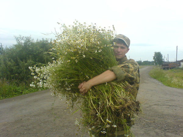 Артем Бурдин