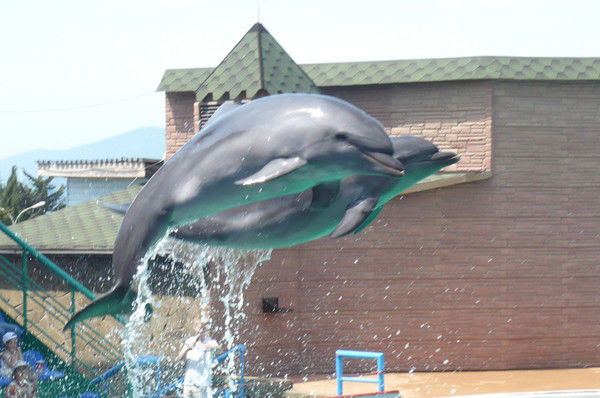 Елена Куликова