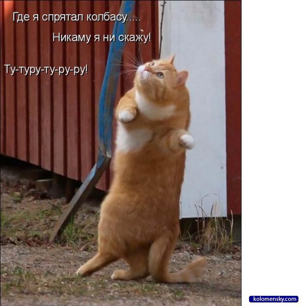 Aлибек Ниязбекулы