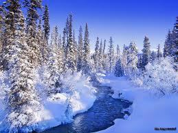 Игорь Степанов