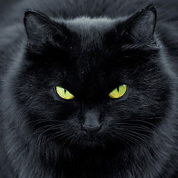 Александра Ермакова