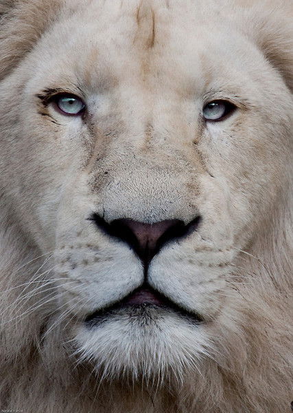 Павел Потанин