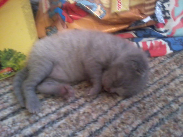 Юлия Доянова