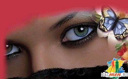 Аида Гацаева