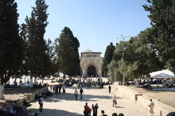 Ильгиз Нигматзянов