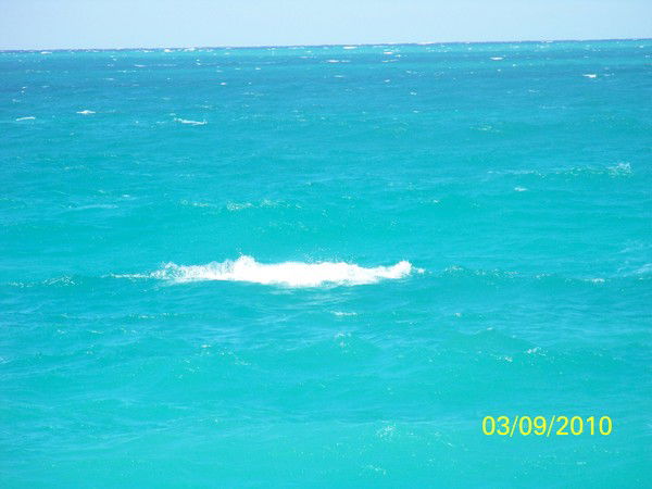 Галина Вольф