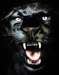 Олька Нестерова