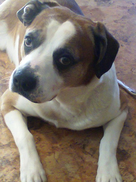 Елена Митяева