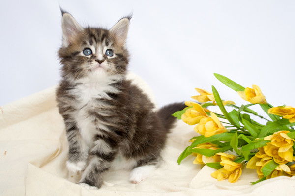 Лариса Дерлюк