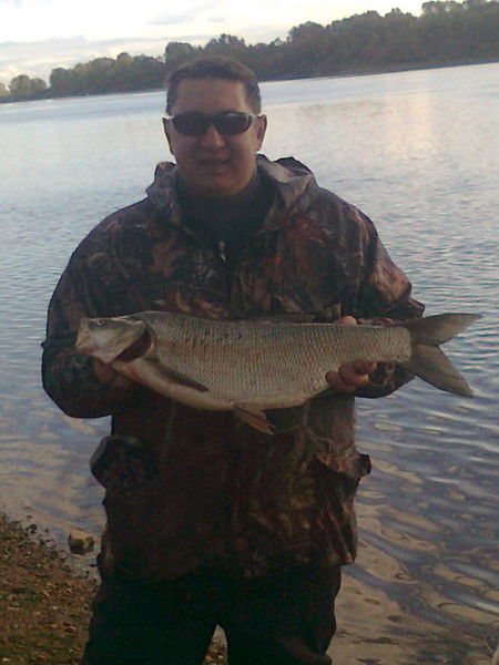 Денис Богомазов