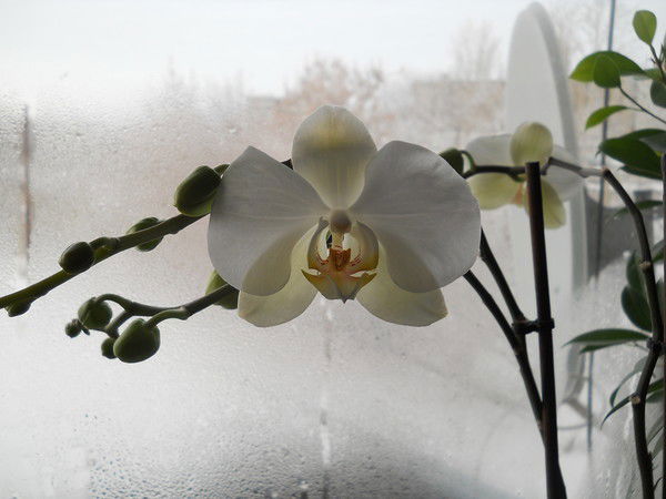 Юрий Суздалов