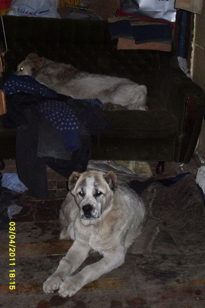 Руслан Закиров