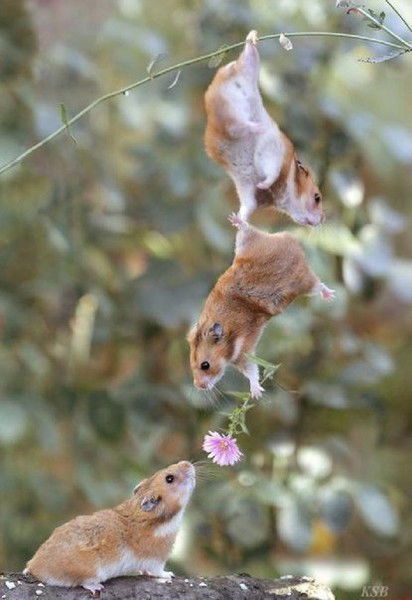 Маша Бунина