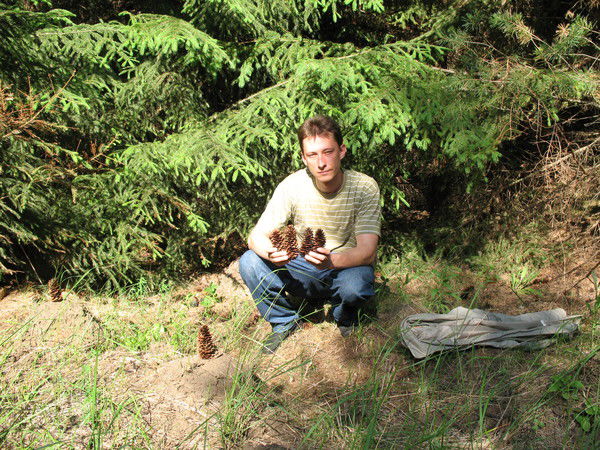 Алексей Колесников