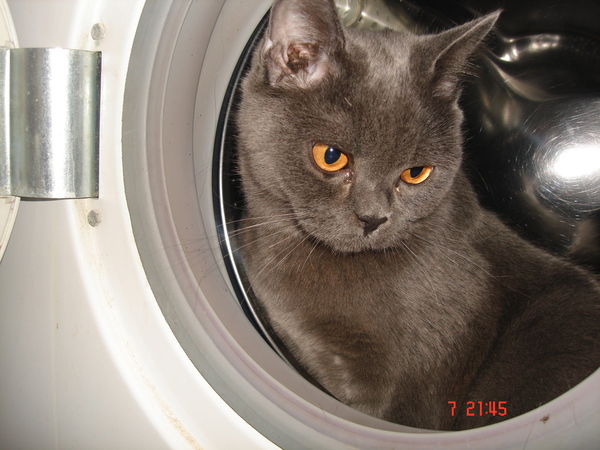 Ирина Костина