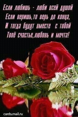 Лиза Ахмедова