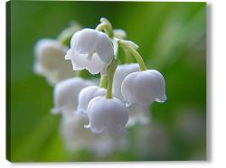 Наталья Луткова