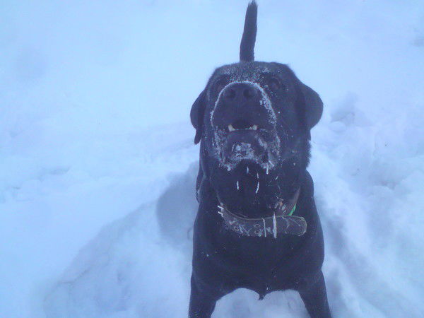 Вадим Шикалов