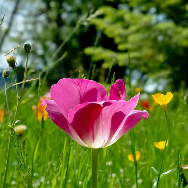 Акжол Ва №2